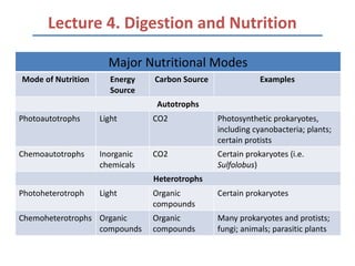 Lecture 4. Digestion and Nutrition

                      Major Nutritional Modes
Mode of Nutrition      Energy   Carbon Source               Examples
                       Source
                                Autotrophs
Photoautotrophs     Light       CO2             Photosynthetic prokaryotes,
                                                including cyanobacteria; plants;
                                                certain protists
Chemoautotrophs     Inorganic   CO2             Certain prokaryotes (i.e.
                    chemicals                   Sulfolobus)
                                Heterotrophs
Photoheterotroph    Light       Organic         Certain prokaryotes
                                compounds
Chemoheterotrophs Organic       Organic         Many prokaryotes and protists;
                  compounds     compounds       fungi; animals; parasitic plants
 