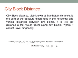 Lecture # 4 Distance Between Pixels in DIP.pptx