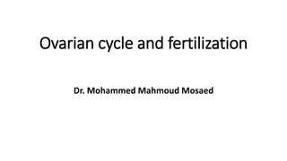 Ovarian cycle and fertilization
Dr. Mohammed Mahmoud Mosaed
 