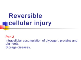 Reversible
cellular injury
Part 2
Intracellular accumulation of glycogen, proteins and
pigments.
Storage diseases.
 