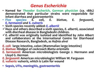 Genus Escherichia
• Named for Theodor Escherich, German physician (ca. 1885)
demonstrated that particular strains were responsible for
infant diarrhea and gastroenteritis
• Five species: E. coli, E. blattae, E. fergusonii,
E. hermannii and E. vulneris
• Sixth species recently added: E. albertii
Huys and others described a sixth species, E. albertii, associated
with diarrheal disease in Bangladeshi children.
E. albertii was originally isolated and identified by John Albert
and collaborators at the International Centre for Diarrhoeal
Disease Research, Bangladesh, as Hafnia alvei
E. coli: large intestine, colon (Mammalian large intestine)
E. blattae: Hindgut of cockroach Blatta orientalis
E. hermannii: American microbiologists George J. Hermann and
Lloyd G. Herman
E. fergusonii: American microbiologist William W. Ferguson
E. vulneris: vulneris, which is Latin for wound
• Sepsis, UTIs, meningitis, gastroenteritis
 