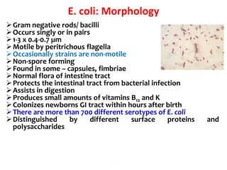 E. coli: Morphology
Gram negative rods/ bacilli
Occurs singly or in pairs
1-3 x 0.4-0.7 µm
Motile by peritrichous flagella
Occasionally strains are non-motile
Non-spore forming
Found in some – capsules, fimbriae
Normal flora of intestine tract
Protects the intestinal tract from bacterial infection
Assists in digestion
Produces small amounts of vitamins B12 and K
Colonizes newborns GI tract within hours after birth
There are more than 700 different serotypes of E. coli
Distinguished by different surface proteins and
polysaccharides
.
 