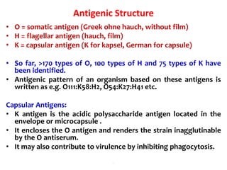 Antigenic Structure
• O = somatic antigen (Greek ohne hauch, without film)
• H = flagellar antigen (hauch, film)
• K = capsular antigen (K for kapsel, German for capsule)
• So far, >170 types of O, 100 types of H and 75 types of K have
been identified.
• Antigenic pattern of an organism based on these antigens is
written as e.g. O111:K58:H2, O54:K27:H41 etc.
Capsular Antigens:
• K antigen is the acidic polysaccharide antigen located in the
envelope or microcapsule .
• It encloses the O antigen and renders the strain inagglutinable
by the O antiserum.
• It may also contribute to virulence by inhibiting phagocytosis.
.
 