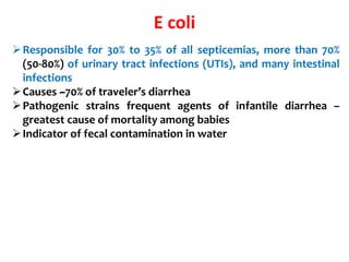 E coli
Responsible for 30% to 35% of all septicemias, more than 70%
(50-80%) of urinary tract infections (UTIs), and many intestinal
infections
Causes ~70% of traveler’s diarrhea
Pathogenic strains frequent agents of infantile diarrhea –
greatest cause of mortality among babies
Indicator of fecal contamination in water
 