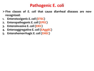 Pathogenic E. coli
Five classes of E. coli that cause diarrheal diseases are now
recognized:
1. Enterotoxigenic E. coli (ETEC)
2. Enteropathogenic E. coli (EPEC)
3. Enteroinvasive E. coli (EIEC)
4. Enteroaggregative E. coli (EAggEC)
5. Enterohemorrhagic E. coli (EHEC)
 