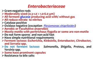 Enterobacteriaceae
Gram-negative rods
Moderately sized (0.3-1.0 × 1.0-6.0 μm)
All ferment glucose producing acid with/ without gas
All reduce nitrate to nitrites
Catalase positive
Oxidase negative (exception Plesiomonas shigelloides)
Aerobic or Facultative anaerobes
Mostly motile with peritrichous flagella or some are non-motile
Do not form spores and non-acid fast
Have simple nutritional requirements
Ferment lactose: Escherichia, Klebsiella, Enterobacter, Citrobacter,
and Serratia spp.
Do not ferment lactose: Salmonella, Shigella, Proteus, and
Yersinia spp.
Some have prominent capsules
Resistance to bile salts
 