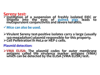 Sereny test:
Instillation of a suspension of freshly isolated EIEC or
Shigella into the eyes of guinea pigs leads to
mucopurulent conjunctivitis and severe keratitis.
Mice can also be used.
Virulent Sereny test-positive isolates carry a large (usually
140-megadalton) plasmid responsible for this property.
Cell Penetration in HeLa or HEP-2 cells.
Plasmid detection:
VMA ELISA: The plasmid codes for outer membrane
antigens called the virulence marker antigens (VMA)
which can be detected by the ELISA (VMA ELISA) test.
 