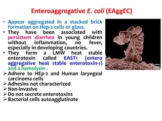 Enteroaggregative E. coli (EAggEC)
• Appear aggregated in a stacked brick
formation on Hep-2 cells or glass.
• They have been associated with
persistent diarrhea in young children
without inflammation, no fever,
especially in developing countries.
• They form a LMW heat stable
enterotoxin called EAST1 (entero
aggregative heat stable enterotoxin-1)
and a hemolysin .
Adhere to HEp-2 and Human laryngeal
carcinoma cells
Adhesins not characterized
Non-invasive
Do not secrete enterotoxins
Bacterial cells autoagglutinate
 