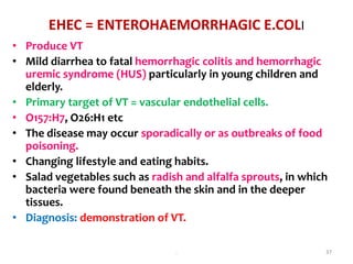 EHEC = ENTEROHAEMORRHAGIC E.COLI
• Produce VT
• Mild diarrhea to fatal hemorrhagic colitis and hemorrhagic
uremic syndrome (HUS) particularly in young children and
elderly.
• Primary target of VT = vascular endothelial cells.
• O157:H7, O26:H1 etc
• The disease may occur sporadically or as outbreaks of food
poisoning.
• Changing lifestyle and eating habits.
• Salad vegetables such as radish and alfalfa sprouts, in which
bacteria were found beneath the skin and in the deeper
tissues.
• Diagnosis: demonstration of VT.
. 37
 
