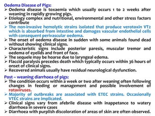 Oedema Disease of Pigs:
 Oedema disease is toxaemia which usually occurs 1 to 2 weeks after
weaning in rapidly growing pigs.
 Etiology complex and nutritional, environmental and other stress factors
contribute
 The non-invasive hemolytic strains isolated that produce verotoxin VT2
which is absorbed from intestine and damages vascular endothelial cells
with consequent perivascular oedema.
 The onset of oedema disease in sudden with some animals found dead
without showing clinical signs.
 Characteristic signs include posterior paresis, muscular tremor and
oedema of eyelids and front of face.
 The sequele may be hoarse due to laryngeal edema.
 Flaccid paralysis precedes death which typically occurs within 36 hours of
onset of clinical signs.
 Recovered animals usually have residual neurological dysfunction.
Post – weaning diarrhoea of pigs:
 The condition occurs within a week or two after weaning often following
changes in feeding or management and possible involvement of
rotaviruses.
 Majority of outbreaks are associated with ETEC strains. Occasionally
VTEC strains are implicated.
 Clinical signs vary from afebrile disease with inappetance to watery
diarrhoea in severe cases
 Diarrhoea with purplish discoloration of areas of skin are often observed.
 