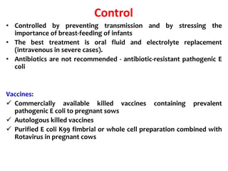Control
• Controlled by preventing transmission and by stressing the
importance of breast-feeding of infants
• The best treatment is oral fluid and electrolyte replacement
(intravenous in severe cases).
• Antibiotics are not recommended - antibiotic-resistant pathogenic E
coli
Vaccines:
 Commercially available killed vaccines containing prevalent
pathogenic E coli to pregnant sows
 Autologous killed vaccines
 Purified E coli K99 fimbrial or whole cell preparation combined with
Rotavirus in pregnant cows
 