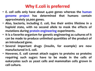 Why E.coli is preferred
• E. coli cells only have about 4,400 genes whereas the human
genome project has determined that humans contain
approximately 30,000 genes.
• Also, bacteria, including E. coli, live their entire lifetime in a
haploid state, with no second allele to mask the effects of
mutations during protein engineering experiments.
• It is a favorite organism for genetic engineering as cultures of it
can be made to produce unlimited quantities of the product of
an introduced gene.
• Several important drugs (insulin, for example) are now
manufactured in E. coli.
• However, E. coli cannot attach sugars to proteins so proteins
requiring such sugars have to be made in the cells of
eukaryotes such as yeast cells and mammalian cells grown in
cell culture.
 