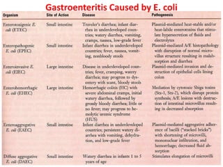 Gastroenteritis Caused by E. coli
 