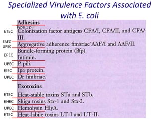 Specialized Virulence Factors Associated
with E. coli
EAEC
UPEC
EPEC
ETEC
Type 1 pili
UPEC
UPEC
EIEC
ETEC
ETEC
EHEC
UPEC
 