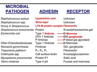 MICROBIAL
PATHOGEN ADHESIN RECEPTOR
Staphylococcus aureus LLiippootteeiicchhooiicc aacciidd Unknown
Staphylococcus spp. SSlliimmee llaayyeerr Unknown
Group A Streptococcus LLTTAA--MM pprrootteeiinn ccoommpplleexx FFiibbrroonneeccttiinn
Streptococcus pneumoniae Protein N-acetylhexosamine-gal
Escherichia coli Type 1 ffiimmbbrriiaaee
CFA 1 fimbriae
P fimbriae
D-MMaannnnoossee
GM ggaanngglliioossiiddee
P blood grp glycolipid
Other Enterobacteriaceae Type 1 fimbriae D-Mannose
Neisseria gonorrhoeae Fimbriae GD1 ganglioside
Treponema pallidum P1, P2, P3 Fibronectin
Chlamydia spp. Cell surface lectin N-acetylglucosamine
Mycoplasma pneumoniae Protein P1 Sialic acid
Vibrio cholerae Type 4 pili Fucose and mannose
 