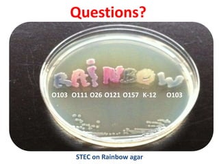 Questions?
STEC on Rainbow agar
O103 O111 O26 O121 O157 K-12 O103
 