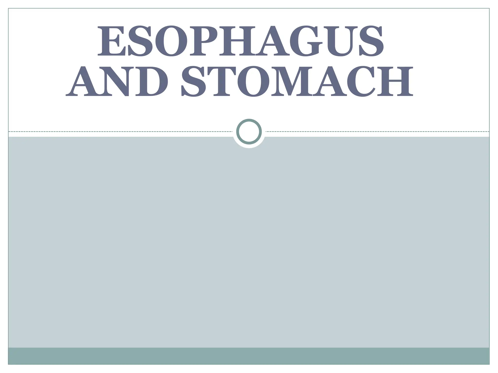 ESOPHAGUS
AND STOMACH
 