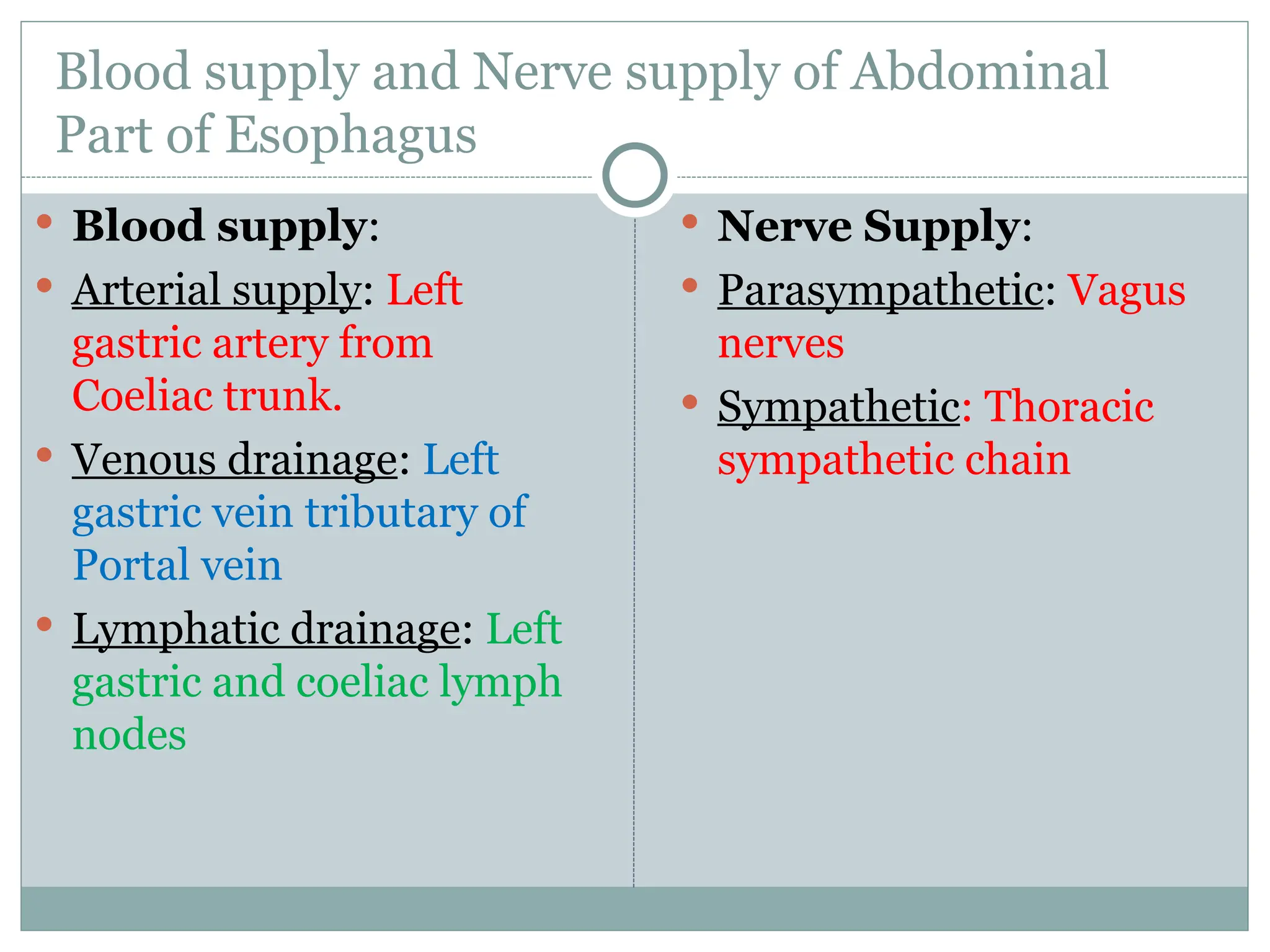 Blood supply and Nerve supply of Abdominal
Part of Esophagus
 Blood supply:
 Arterial supply: Left
gastric artery from
Coeliac trunk.
 Venous drainage: Left
gastric vein tributary of
Portal vein
 Lymphatic drainage: Left
gastric and coeliac lymph
nodes
 Nerve Supply:
 Parasympathetic: Vagus
nerves
 Sympathetic: Thoracic
sympathetic chain
 
