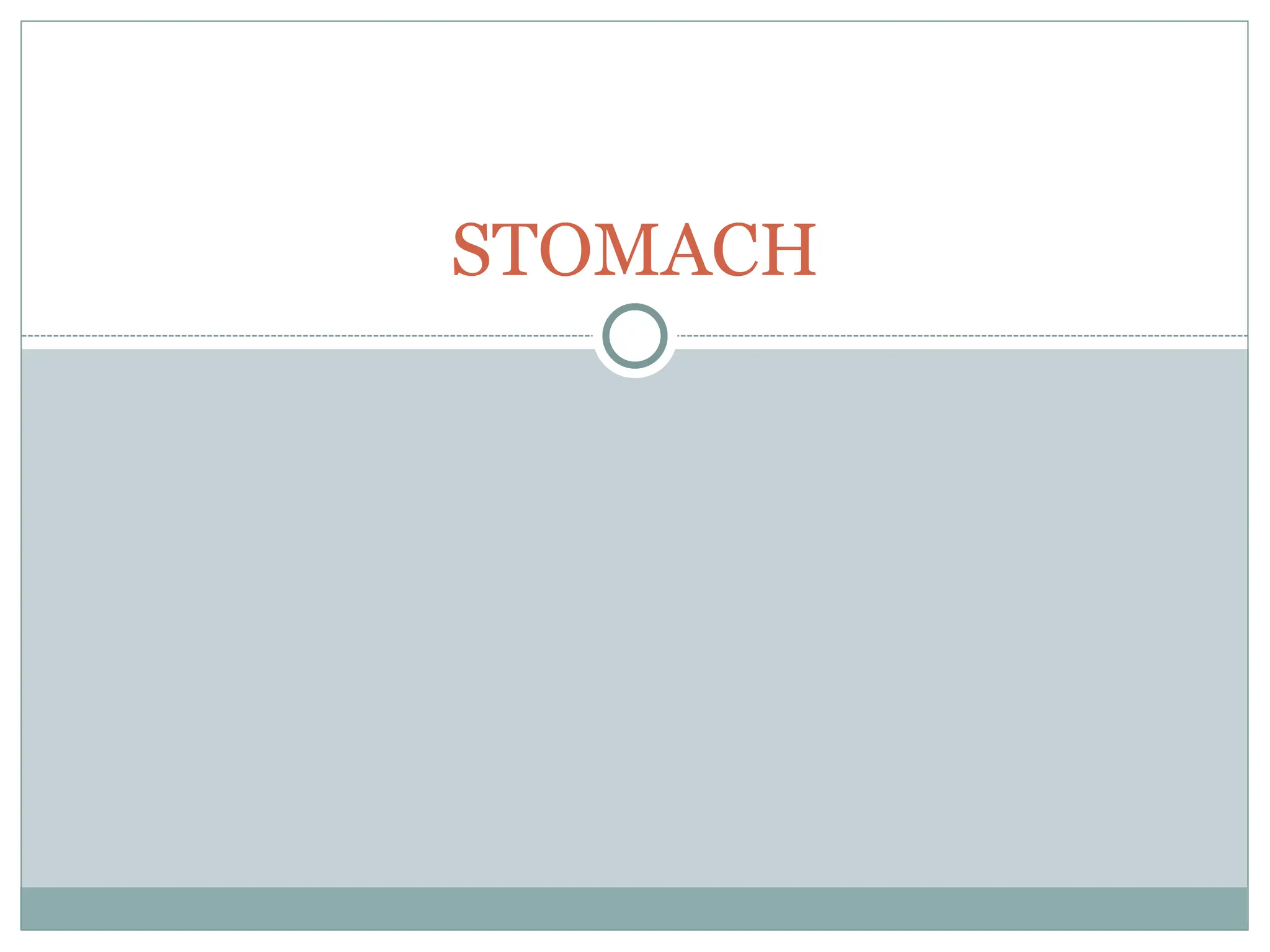 STOMACH
 