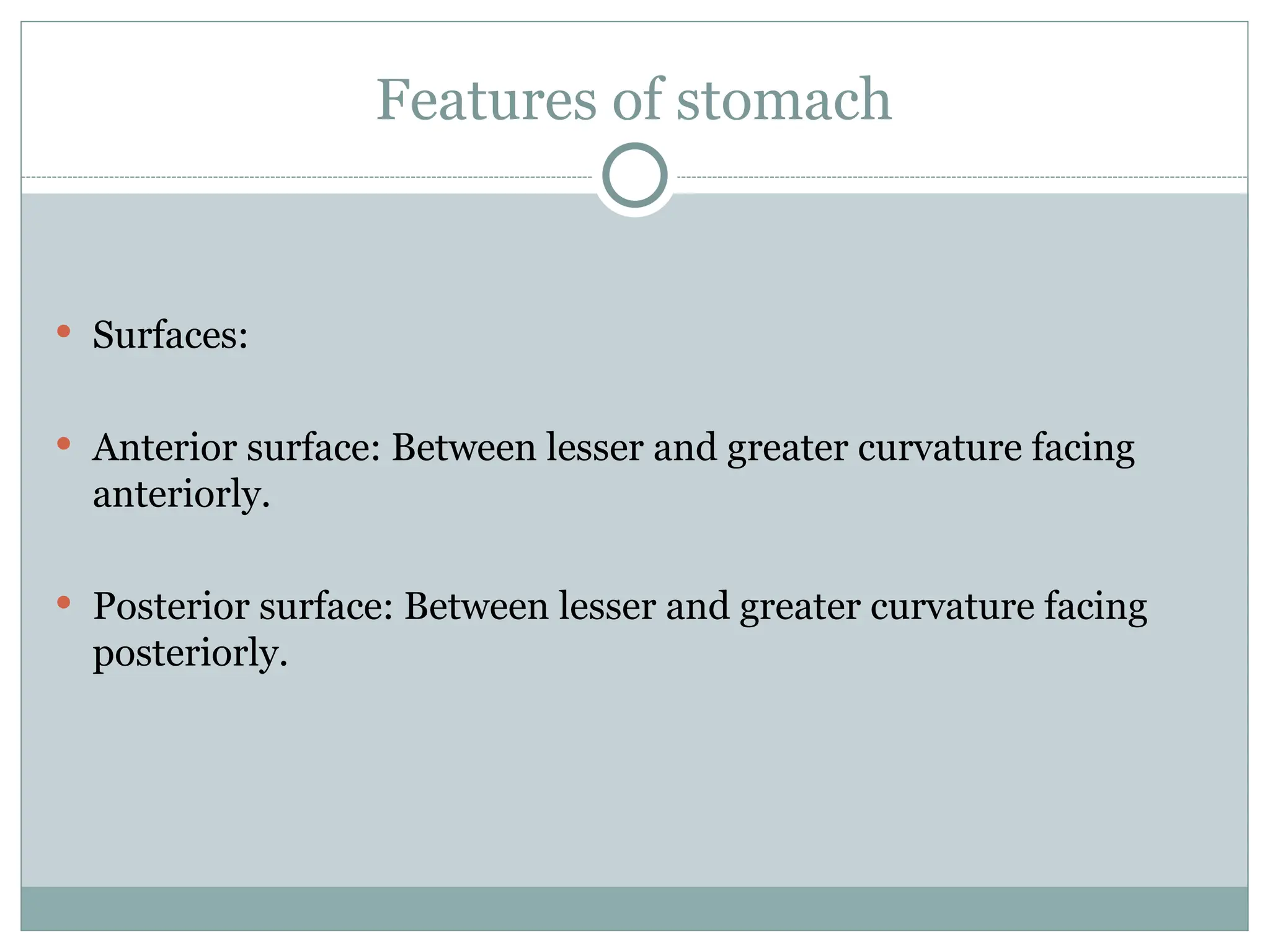 Features of stomach
 Surfaces:
 Anterior surface: Between lesser and greater curvature facing
anteriorly.
 Posterior surface: Between lesser and greater curvature facing
posteriorly.
 
