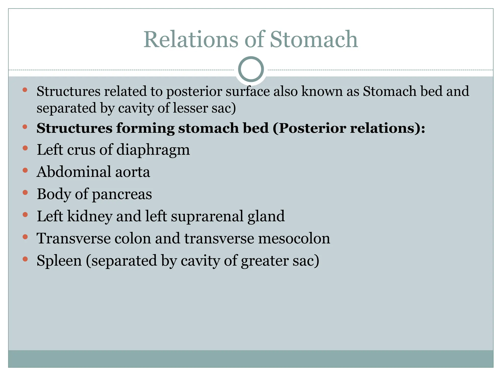 Relations of Stomach
 Structures related to posterior surface also known as Stomach bed and
separated by cavity of lesser sac)
 Structures forming stomach bed (Posterior relations):
 Left crus of diaphragm
 Abdominal aorta
 Body of pancreas
 Left kidney and left suprarenal gland
 Transverse colon and transverse mesocolon
 Spleen (separated by cavity of greater sac)
 