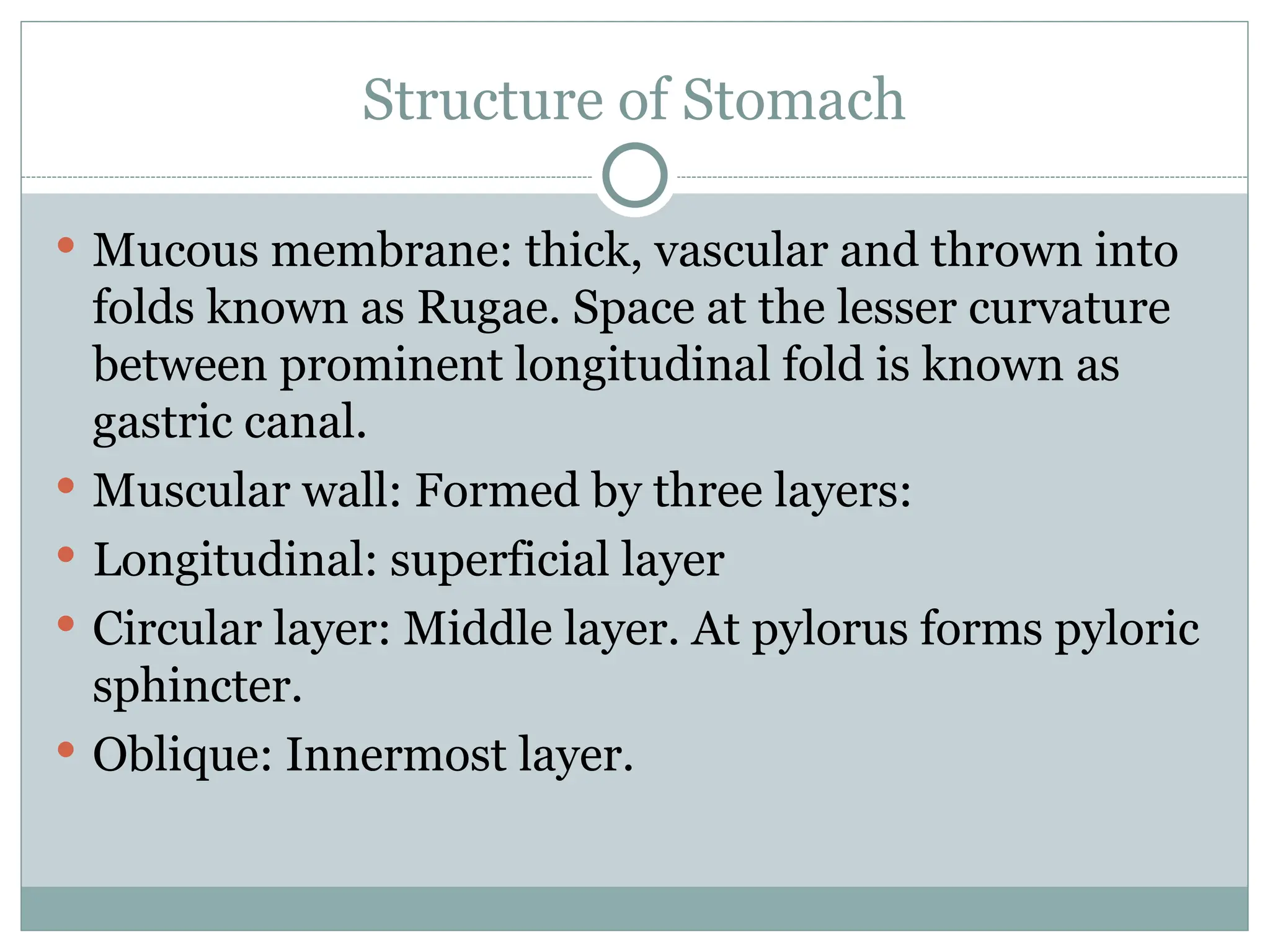 Structure of Stomach
 Mucous membrane: thick, vascular and thrown into
folds known as Rugae. Space at the lesser curvature
between prominent longitudinal fold is known as
gastric canal.
 Muscular wall: Formed by three layers:
 Longitudinal: superficial layer
 Circular layer: Middle layer. At pylorus forms pyloric
sphincter.
 Oblique: Innermost layer.
 