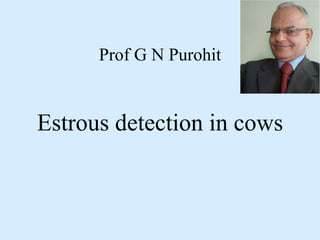 Prof G N Purohit
Estrous detection in cows
 