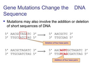 Lecture 4, gene mutation.ppt