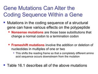 Lecture 4, gene mutation.ppt