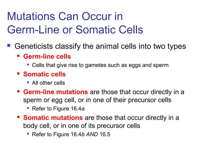 Lecture 4 Gene Mutation ppt
