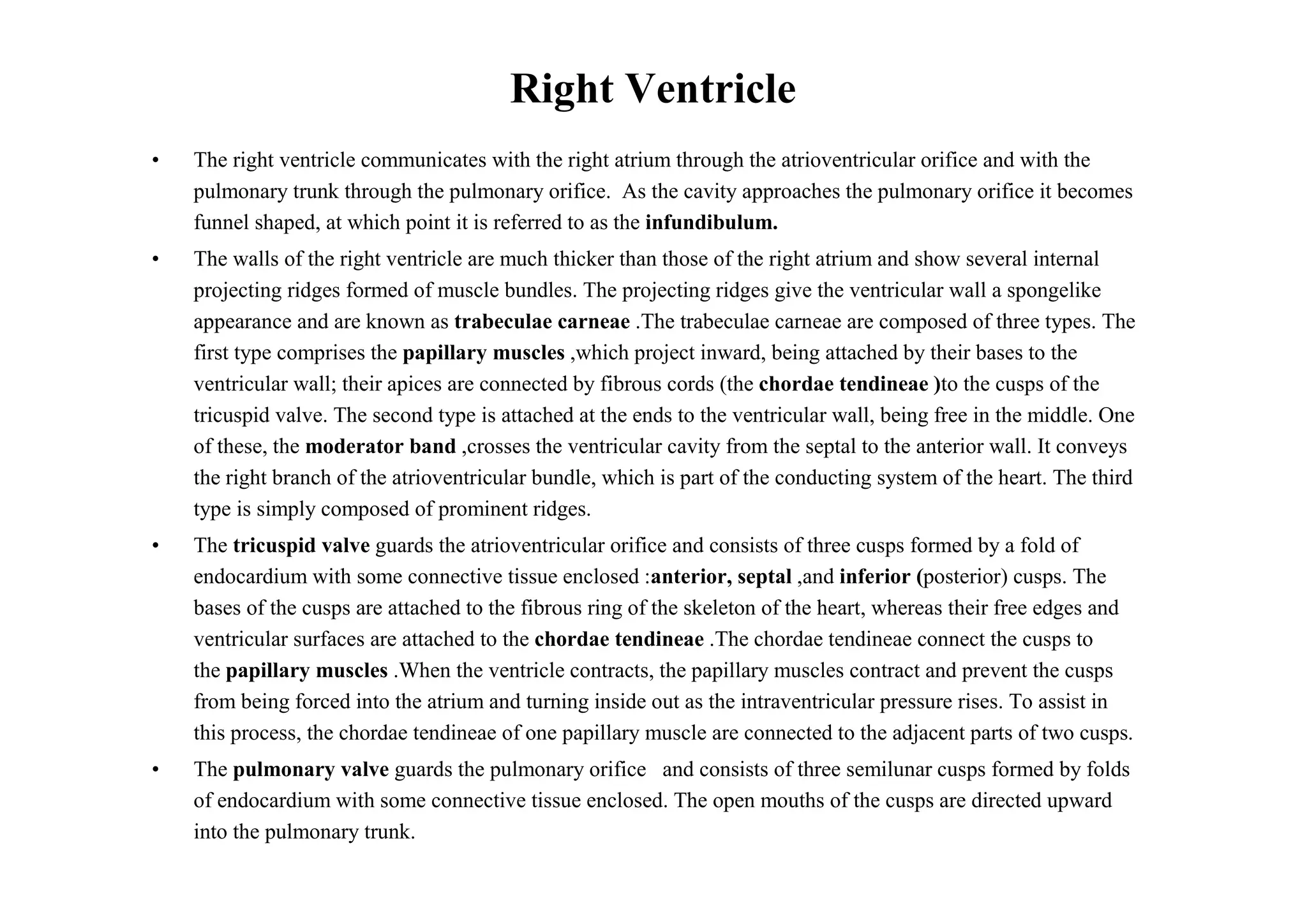 Right Ventricle
•   The right ventricle communicates with the right atrium through the atrioventricular orifice and with the
    pulmonary trunk through the pulmonary orifice. As the cavity approaches the pulmonary orifice it becomes
    funnel shaped, at which point it is referred to as the infundibulum.
•   The walls of the right ventricle are much thicker than those of the right atrium and show several internal
    projecting ridges formed of muscle bundles. The projecting ridges give the ventricular wall a spongelike
    appearance and are known as trabeculae carneae .The trabeculae carneae are composed of three types. The
    first type comprises the papillary muscles ,which project inward, being attached by their bases to the
    ventricular wall; their apices are connected by fibrous cords (the chordae tendineae )to the cusps of the
    tricuspid valve. The second type is attached at the ends to the ventricular wall, being free in the middle. One
    of these, the moderator band ,crosses the ventricular cavity from the septal to the anterior wall. It conveys
    the right branch of the atrioventricular bundle, which is part of the conducting system of the heart. The third
    type is simply composed of prominent ridges.
•   The tricuspid valve guards the atrioventricular orifice and consists of three cusps formed by a fold of
    endocardium with some connective tissue enclosed :anterior, septal ,and inferior (posterior) cusps. The
    bases of the cusps are attached to the fibrous ring of the skeleton of the heart, whereas their free edges and
    ventricular surfaces are attached to the chordae tendineae .The chordae tendineae connect the cusps to
    the papillary muscles .When the ventricle contracts, the papillary muscles contract and prevent the cusps
    from being forced into the atrium and turning inside out as the intraventricular pressure rises. To assist in
    this process, the chordae tendineae of one papillary muscle are connected to the adjacent parts of two cusps.
•   The pulmonary valve guards the pulmonary orifice and consists of three semilunar cusps formed by folds
    of endocardium with some connective tissue enclosed. The open mouths of the cusps are directed upward
    into the pulmonary trunk.
 