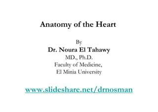 Anatomy of the Heart

                By
     Dr. Noura El Tahawy
           MD., Ph.D.
       Faculty of Medicine,
        El Minia University


www.slideshare.net/drnosman
 