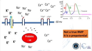 Not a true RMP
It is a prepotential
 