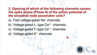 2. Opening of which of the following channels causes
the spike phase (Phase 0) of the action potential of
the sinoatrial node pacemaker cells?
a) Fast voltage-gated Na+ channels.
b) Voltage-gated L- type Ca++ channels.
c) Voltage-gated T- type Ca++ channels.
d) Voltage-gated K+ channels.
B
 