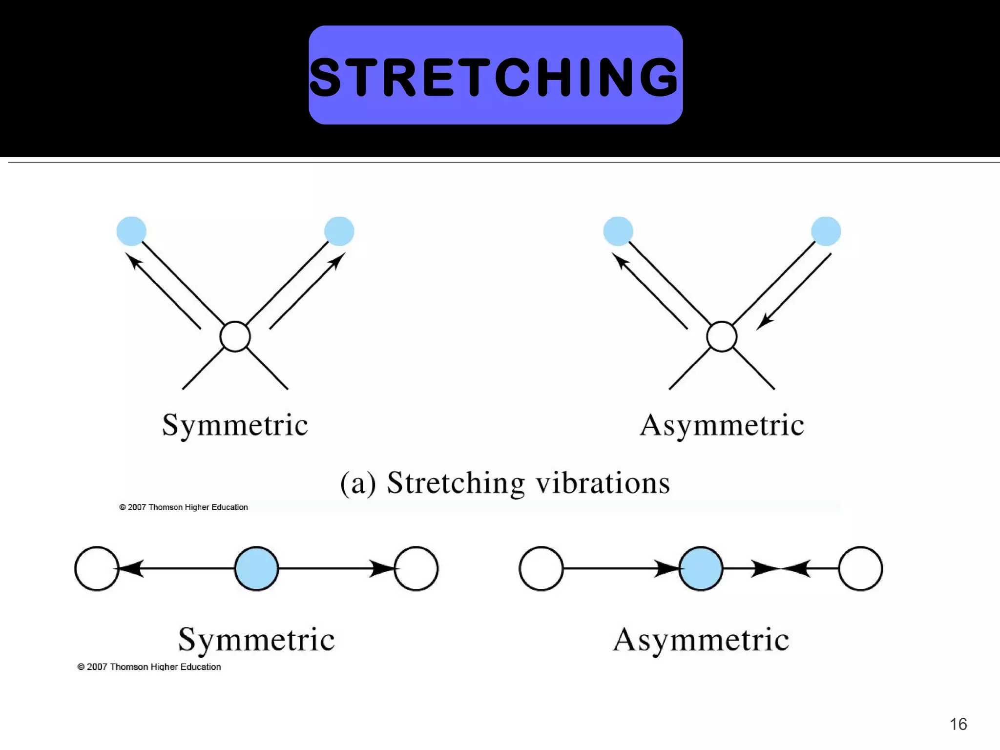 STRETCHING




             16
 
