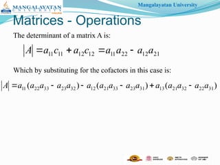 The Determinant and inverse of the Matrix | PPTX