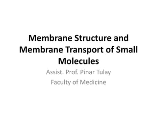 Membrane Structure and
Membrane Transport of Small
Molecules
Assist. Prof. Pinar Tulay
Faculty of Medicine
 