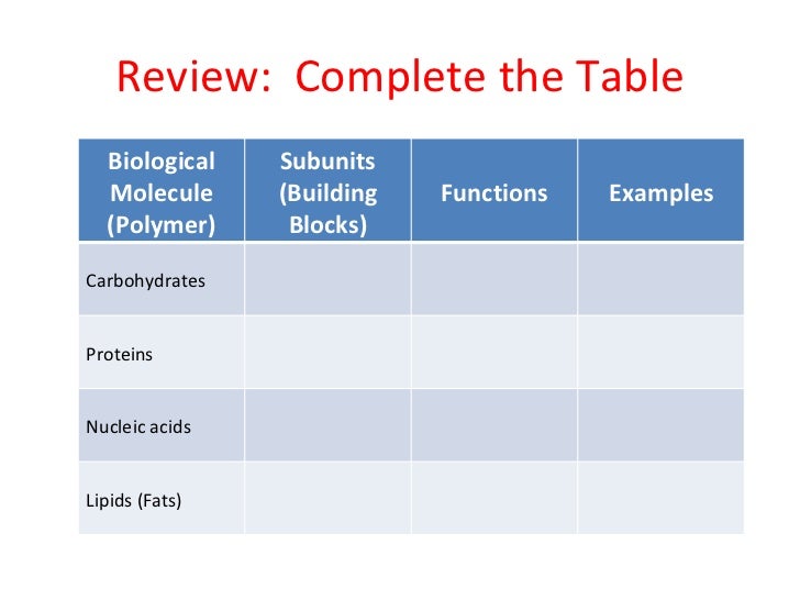 Building Blocks Of Macromolecules Building Blocks Of Macromolecules