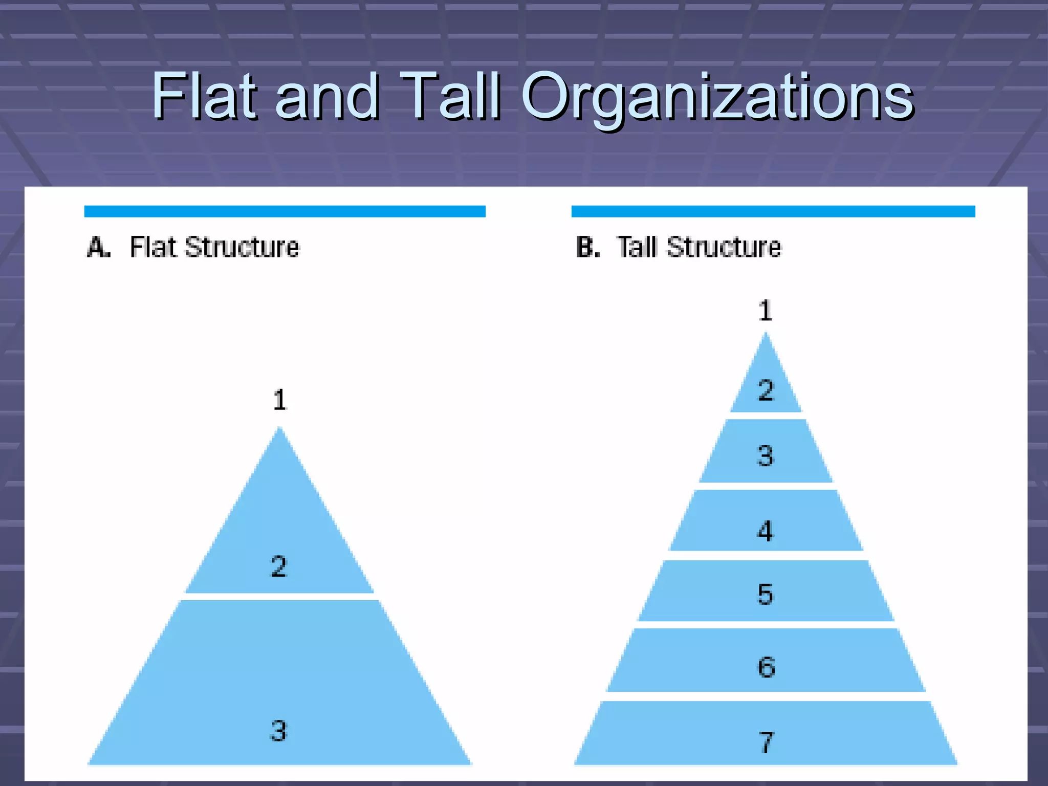 Flat and Tall OrganizationsFlat and Tall Organizations
 