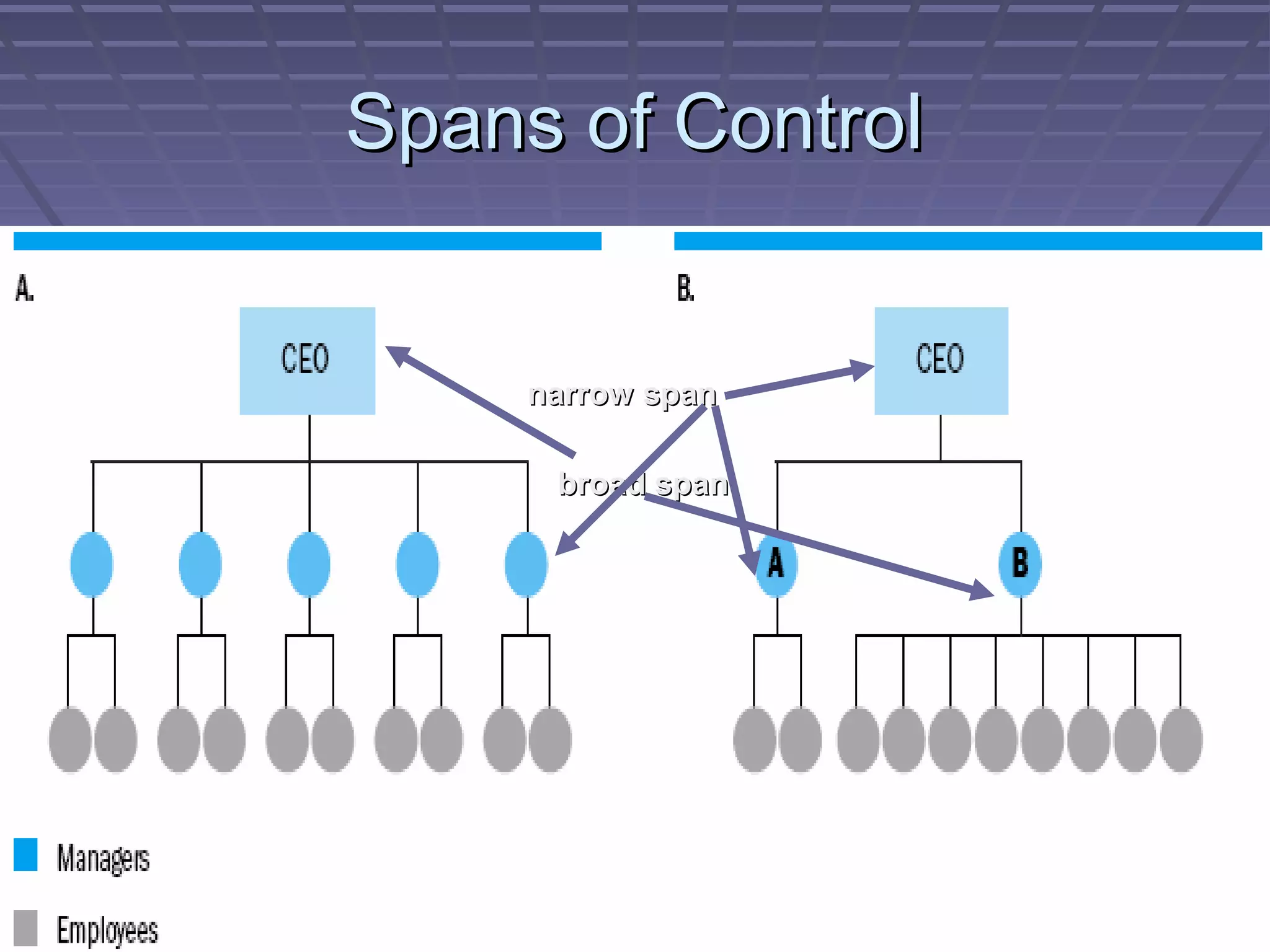 Spans of ControlSpans of Control
narrow spannarrow span
broad spanbroad span
 