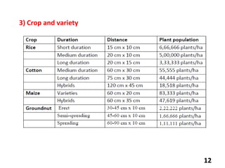 Lecture 4 Plant density and geometry.pptx