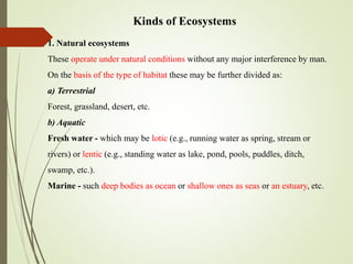 Kinds of Ecosystems
1. Natural ecosystems
These operate under natural conditions without any major interference by man.
On the basis of the type of habitat these may be further divided as:
a) Terrestrial
Forest, grassland, desert, etc.
b) Aquatic
Fresh water - which may be lotic (e.g., running water as spring, stream or
rivers) or lentic (e.g., standing water as lake, pond, pools, puddles, ditch,
swamp, etc.).
Marine - such deep bodies as ocean or shallow ones as seas or an estuary, etc.
 