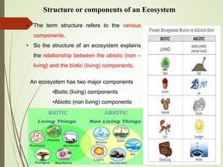 Structure or components of an Ecosystem
• The term structure refers to the various
components.
• So the structure of an ecosystem explains
the relationship between the abiotic (non –
living) and the biotic (living) components.
An ecosystem has two major components
•Biotic (living) components
•Abiotic (non living) components
 