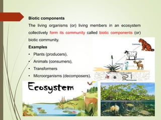Biotic components
The living organisms (or) living members in an ecosystem
collectively form its community called biotic components (or)
biotic community.
Examples
• Plants (producers),
• Animals (consumers),
• Transformers
• Microorganisms (decomposers).
 