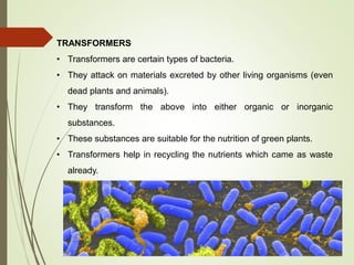 TRANSFORMERS
• Transformers are certain types of bacteria.
• They attack on materials excreted by other living organisms (even
dead plants and animals).
• They transform the above into either organic or inorganic
substances.
• These substances are suitable for the nutrition of green plants.
• Transformers help in recycling the nutrients which came as waste
already.
 