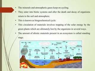 • The minerals and atmospheric gases keep on cycling.
• They enter into biotic systems and after the death and decay of organisms
return to the soil and atmosphere.
• This is known as biogeochemical cycle.
• This circulation of materials involves trapping of the solar energy by the
green plants which are ultimately lost by the organisms in several ways.
• The amount of abiotic materials present in an ecosystem is called standing
stage.
 