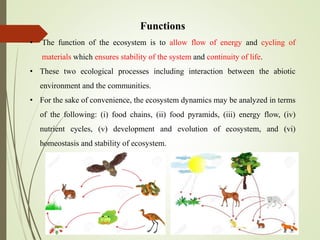 Functions
• The function of the ecosystem is to allow flow of energy and cycling of
materials which ensures stability of the system and continuity of life.
• These two ecological processes including interaction between the abiotic
environment and the communities.
• For the sake of convenience, the ecosystem dynamics may be analyzed in terms
of the following: (i) food chains, (ii) food pyramids, (iii) energy flow, (iv)
nutrient cycles, (v) development and evolution of ecosystem, and (vi)
homeostasis and stability of ecosystem.
 
