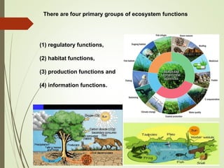 There are four primary groups of ecosystem functions
(1) regulatory functions,
(2) habitat functions,
(3) production functions and
(4) information functions.
 