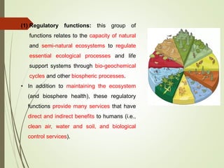(1) Regulatory functions: this group of
functions relates to the capacity of natural
and semi-natural ecosystems to regulate
essential ecological processes and life
support systems through bio-geochemical
cycles and other biospheric processes.
• In addition to maintaining the ecosystem
(and biosphere health), these regulatory
functions provide many services that have
direct and indirect benefits to humans (i.e.,
clean air, water and soil, and biological
control services).
 