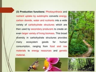 (3) Production functions: Photosynthesis and
nutrient uptake by autotrophs converts energy,
carbon dioxide, water and nutrients into a wide
variety of carbohydrate structures which are
then used by secondary producers to create an
even larger variety of living biomass. This broad
diversity in carbohydrate structures provides
many ecosystem goods for human
consumption, ranging from food and raw
materials to energy resources and genetic
material.
 